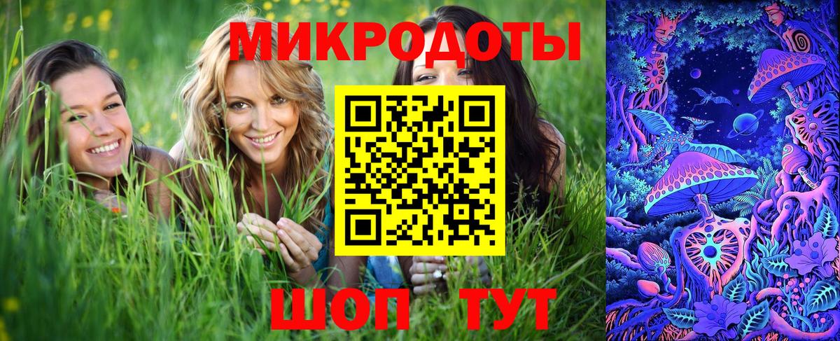Псилоцибиновые грибы прущие грибы Киров