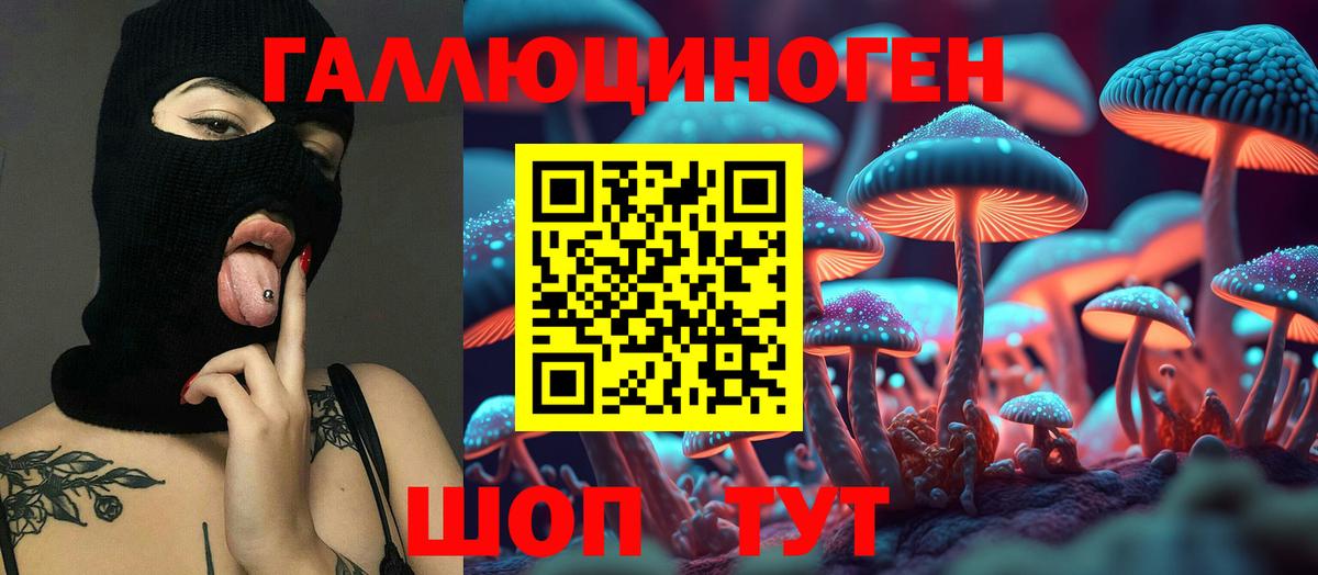Киров  Галлюциногенные грибы MAGIC MUSHROOMS  Вход с VPN 